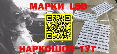 МДПВ Камышлов