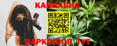 МДПВ Камышлов