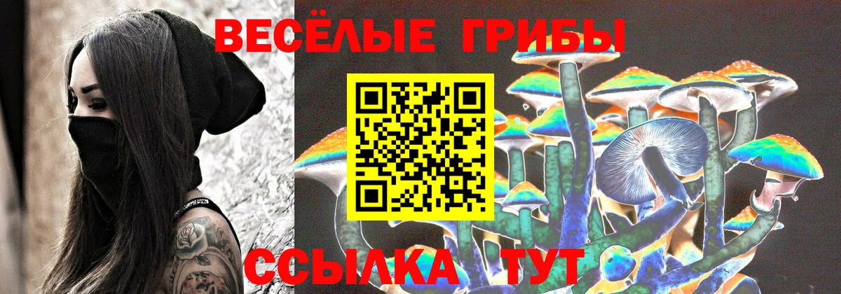 Кунгур  Псилоцибиновые грибы мухоморы  Вход с VPN 