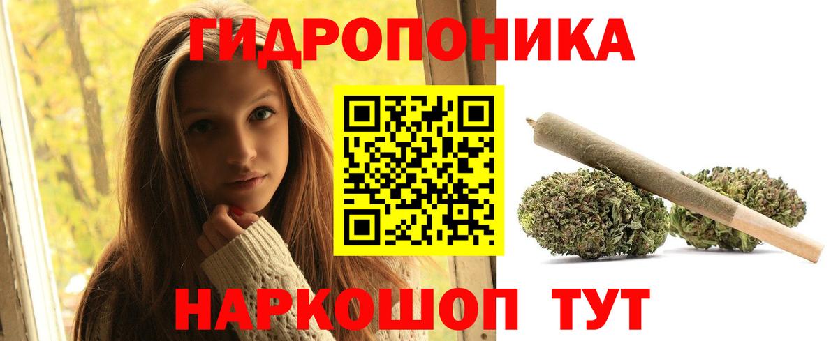 Конопля план  МАРИХУАНА Amnesia  Кунгур  Вход с VPN  Конопля план  Каннабис индика 